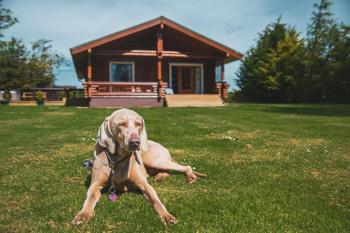 Tomatin - Luxury Two Bedroom Log Cabin with Hot Tub, Berwick-upon-Tweed (photo 3)