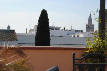 Puerta San Esteban, Sevilla (Foto 5)