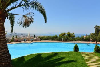 Royal Sun, Chania (fotografie 3)