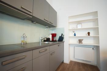 Spacious apartment with huge shared terrace and grill located between city centre and Donau river, Vídeň (fotografie 3)