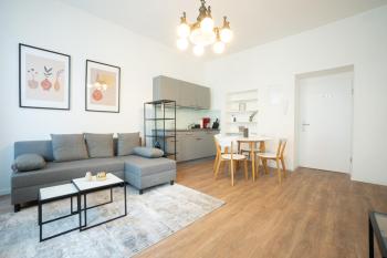 Spacious apartment with huge shared terrace and grill located between city centre and Donau river, Vídeň (fotografie 5)