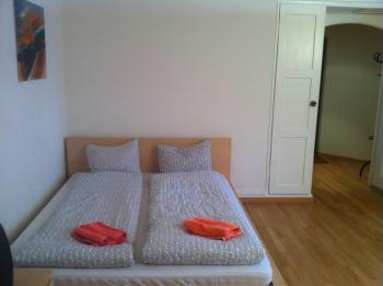 Garden Studio Apartment Zürichberg, Curych (fotografie 4)