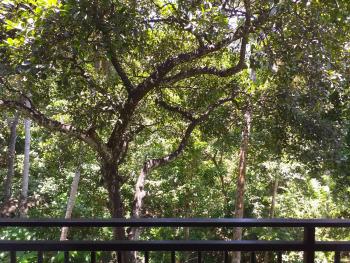 Sunworld Villa, Unawatuna (foto 2)