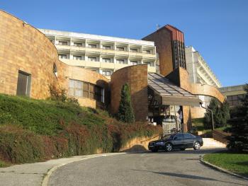 Retro Hotel Suza, Bratislava (Foto 2)