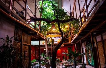 Refugio del Jaguar, Medellín (photo 5)