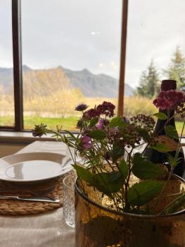 House with a magical garden and sunroom, Höfn (foto 3)