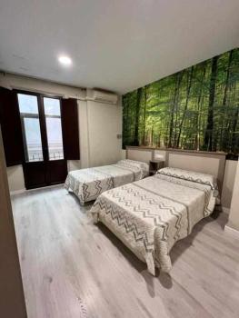 Hostal Viena Plaza Nueva, Grenade (photo 3)
