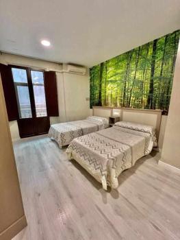 Hostal Viena Plaza Nueva, Grenade (photo 4)