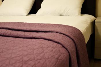 Hotel Leda, Sofia (photo 4)