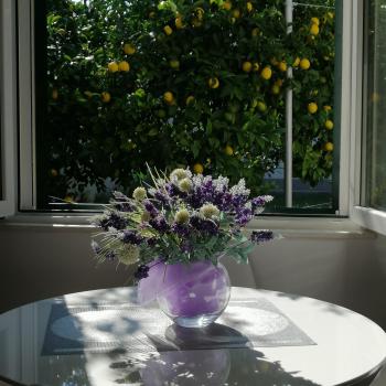 Tonina - private jacuzzi, free parking, terrace, Split (Foto 4)