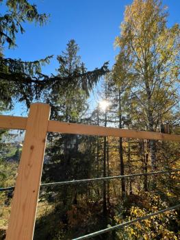 Hovanka, Yaremche (foto 5)