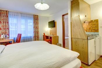 Patricia self-check-in Apartments & Spa Access at Alpen Resort, Zermatt (photo 5)