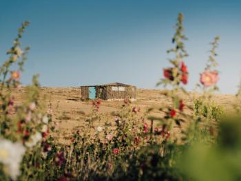 Succah in the Desert, Mitzpe Ramon (Foto 2)