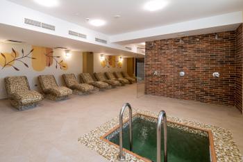 Fiald Hotel & Spa, Бакэу (фото 5)