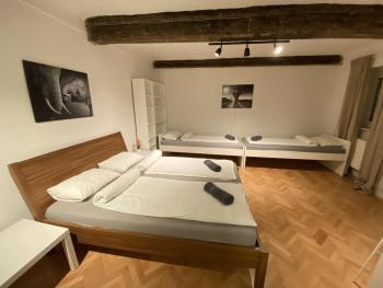 Villa pod Gradom, Ljubljana (photo 5)