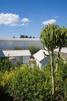 Kolymbia Sun, Kolimbia (photo 5)