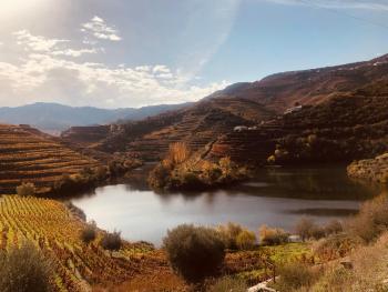 Castas do Douro, Tabuaço (zdjęcie 3)