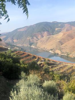 Castas do Douro, Tabuaço (zdjęcie 2)