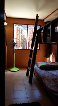 Cactus Hostel, Chiang Mai (foto 4)