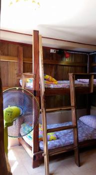Cactus Hostel, Chiang Mai (foto 3)