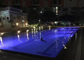 Chateau Elysee a2 near Airport,Wifi Netflix Kitchen, Manila (fotografie 2)