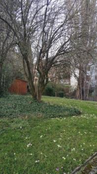Zurich Furnished Apartments, Zúrich (foto 5)