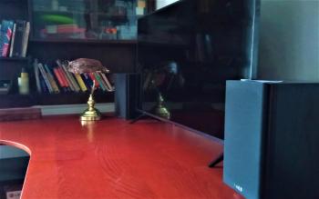 camera d'or, Boloňa (fotografie 3)