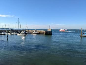 Insignia, Cowes (photo 4)