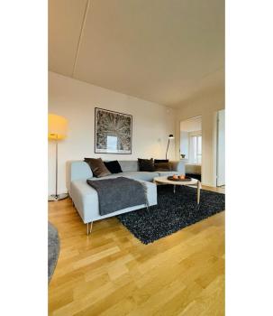 ApartmentInCopenhagen Apartment 1518, Copenaghen (foto 5)