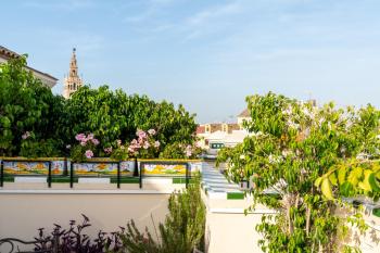 Sevilla Central Suites Apartamentos Puerta Jerez, Sevilla (Foto 4)