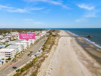 Dolphin Watch 6, Tybee Island (Foto 2)