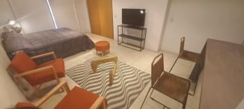 San Telmo apartment, Буэнос-Айрес (фото 2)