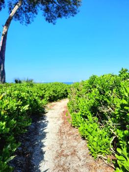 Sunset Beach Condo #54455, Holmes Beach (Foto 3)