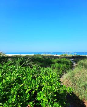 Sunset Beach Condo #54455, Holmes Beach (Foto 2)
