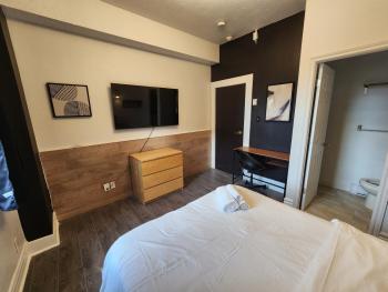 Le Sand & Stone Hotel, Montréal (foto 4)