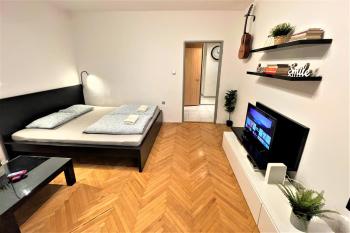 Apartment Helen - Old Town, AC, Bratislava (photo 5)