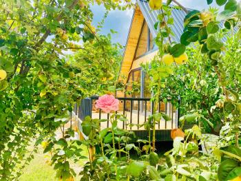 Garden Bungalows and Suites, Antalya (photo 4)