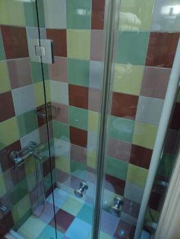 Room frog in a neoclasical house, Kastoria (photo 5)