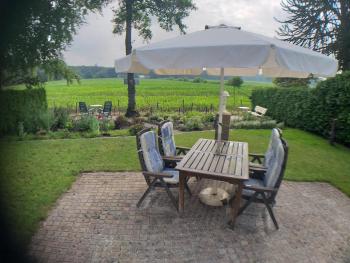 tuinfluiter 50, Oisterwijk (foto 2)