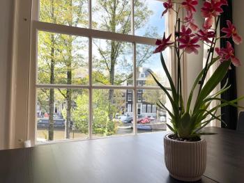 Little Tulip, Amsterdam (photo 5)