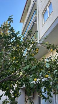 ABC Apart Hotel, Antalya (zdjęcie 4)