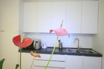 Academia Residence, Bergamo (fotografie 4)