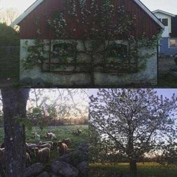 Sniberup, Hörby (Foto 3)