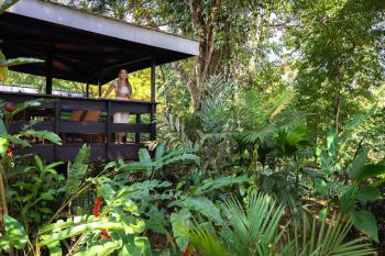 Chachagua Rainforest Hotel & Hot Springs, Фортуна (фото 4)