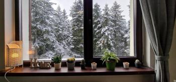 Pine Tree Apartment / Borovets Gardens, Borovec (fotografie 2)