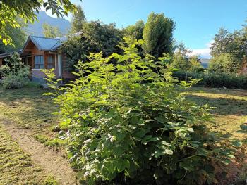 Casa Peral, Эль-Больсон (фото 4)