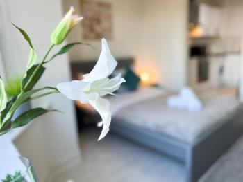 1Bd Glasgow Apartment, Glasgow (Foto 2)