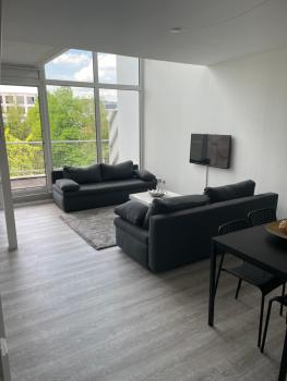Cologne City is Calling, Kolonia (zdjęcie 4)