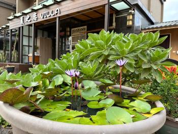 夏之戀民宿 可包棟 近金城市區, Jinning (foto 2)