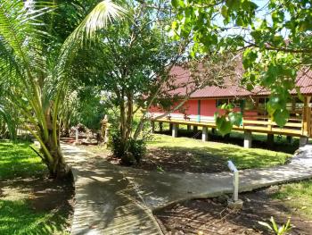 RAIATEA - Fare Apetahi, Uturoa (photo 2)